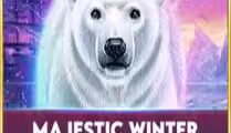 Majestic Winter Polar Adventures