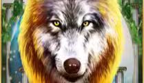 Wolf Fang Ancient Greece