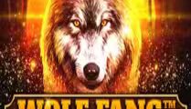 Wolf Fang — The Wilderness