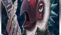 Parrots Rock