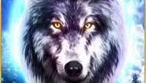 Wolf Fang — Supermoon