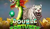 Double Fortunes
