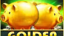 Golden Piggy Bank Dice