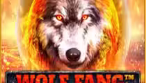 Wolf Fang — Volcano