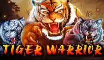 Tiger Warrior