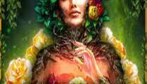 Story Of Gaia