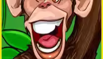 Wacky Monkey