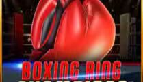 Boxing Ring Champions