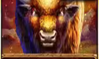 Buffalo Rampage