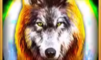 Wolf Fang