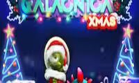 Galancnica Xmas