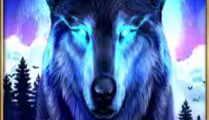 Dark Wolf