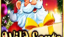 Wild Santa