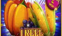1 Reel Thanksgiving