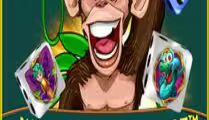 Wacky Monkey Dice