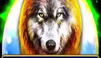 1 Reel Wolf Fang