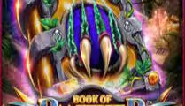 Book Of Panther Wild Dawn