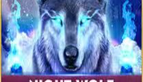 Night Wolf — Frozen Flame