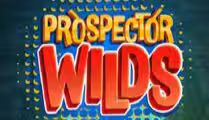 Prospector Wilds
