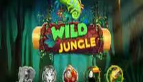 Wild Jungle