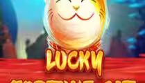 Lucky Fortune Cat
