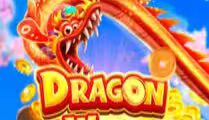 Dragon Wish