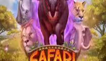 Safari of Wealth