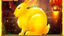 Year Of The Rabbit