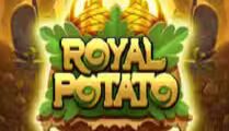 Royal Potato