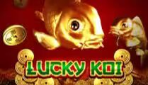 Lucky Koi