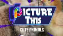Picture This — Cute Animals