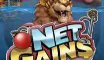 Net Gains
