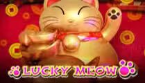 Lucky Meow