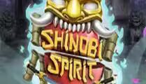 Shinobi Spirit