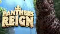 Panther’s Reign
