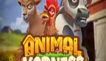 Animal Madness