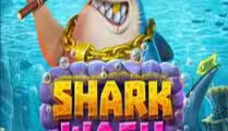 Shark Wash