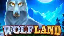 Wolf Land: Hold and Win