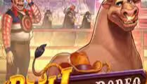 Bull in a Rodeo