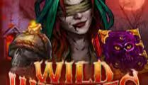 Wild Witches