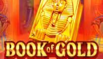 Book of Gold Multichance