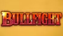 Bullfight