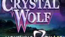 Crystal Wolf Lightning Chase