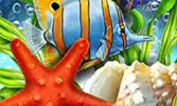 Deep Sea Fortune