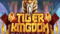 Tiger Kingdom Infinity Reels