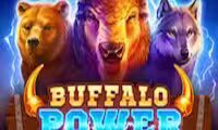 Buffalo Power: Hold and Win