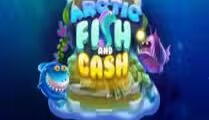 Fish And Cash Arctic