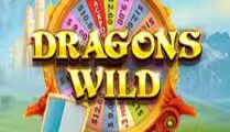 Dragon’s Wild