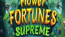 Flower Fortune Supreme