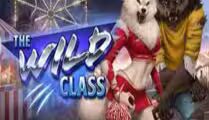 The Wild Class